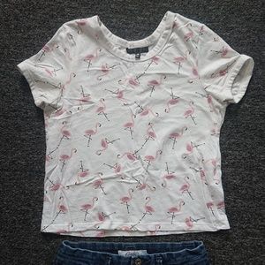 Cute Flamingo Top